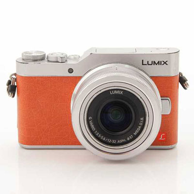 パナソニック LUMIX ルミックス ミラーレス一眼カメラ デジタルカメラ DC-GF9W-D