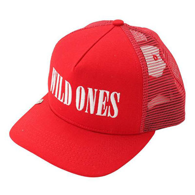 アミリ WILD ONES ベースボール キャップ
