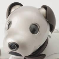 ソニー aibo 犬型 バーチャル ペット