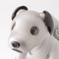 ソニー SONY 犬型 バーチャルペット ロボット