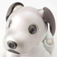 ソニー aibo 犬型 バーチャル ペットロボット