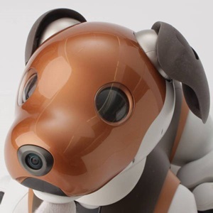 AIBO アイボ 買取 | ロボットを高く売るなら【レトロ】