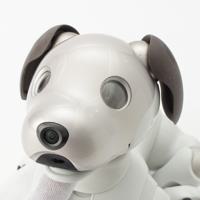 ソニー SONY アイボ aibo 犬 ペットロボット 家電 ERS-1000 ホワイト
