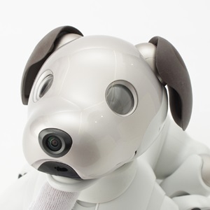ソニー SONY アイボ ロボット ERS-1000 ホワイト