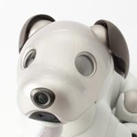 ソニー SONY アイボ aibo 犬