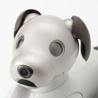 ソニー SONY aibo アイボ 犬 ドッグ ペットロボット