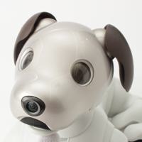 ソニー SONY aibo アイボ 犬