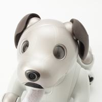 ソニー SONY aibo アイボ 家電