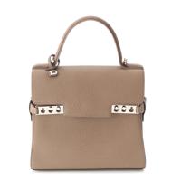 デルヴォー Delvaux タンペートPM クリスピーカーフ 2way