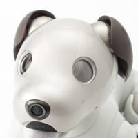 ソニー SONY アイボ aibo 犬