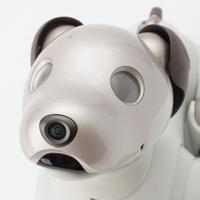 ソニー SONY アイボ aibo 犬