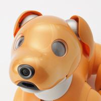 ソニー SONY 2020年限定 aibo アイボ