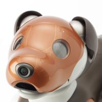 ソニー SONY AIBO アイボ チョコレートエディション