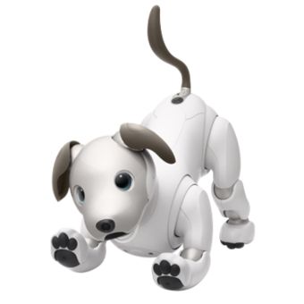aibo