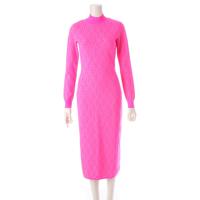 フェンディ FENDI ニッキー ミナージュ FF柄