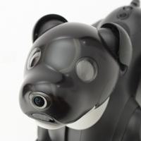 ソニー SONY 23年限定カラー aibo アイボ