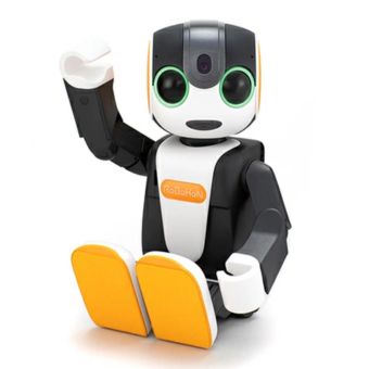 RoBoHoN