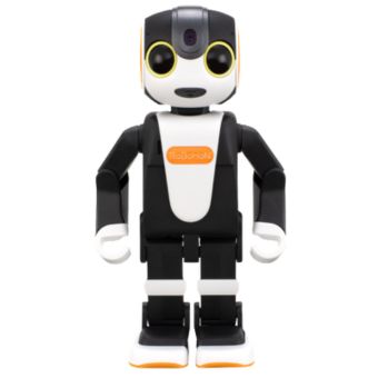 RoBoHoN