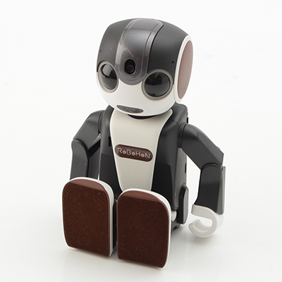 RoBoHoN 査定ポイント