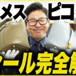 エルメス ピコタン 買取相場｜コンディション・サイズ別の価格をプロが完全解説【2026年】
