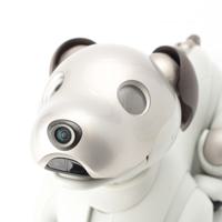 ソニー SONY AIBO アイボ プラスチック