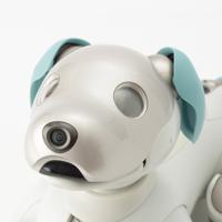 ソニー SONY アイボ プラスチック 犬型