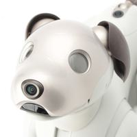 ソニー SONY アイボ プラスチック 犬型